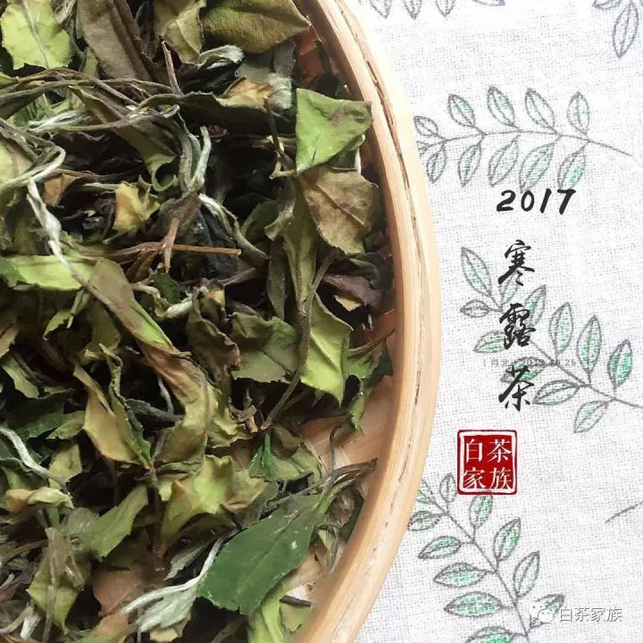 白茶炒作的疯狂功效，几时达到顶峰？