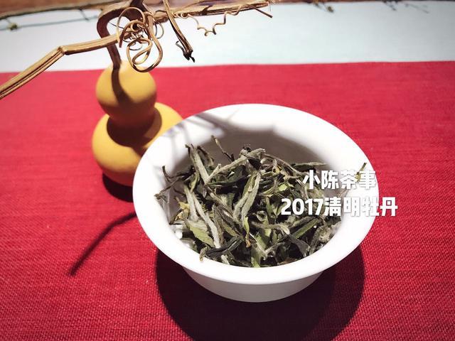 安吉白茶哪种最适合泡茶喝