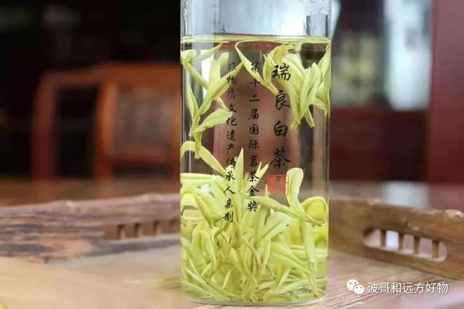 安吉白茶哪种最适合泡茶喝