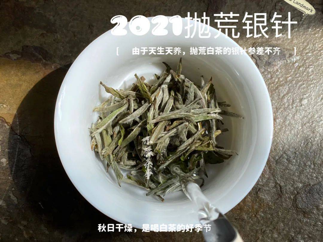 商洛白茶过期了能喝吗