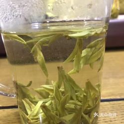 安吉白茶可以用茶水浇吗？为什么可以用开水冲泡吗？