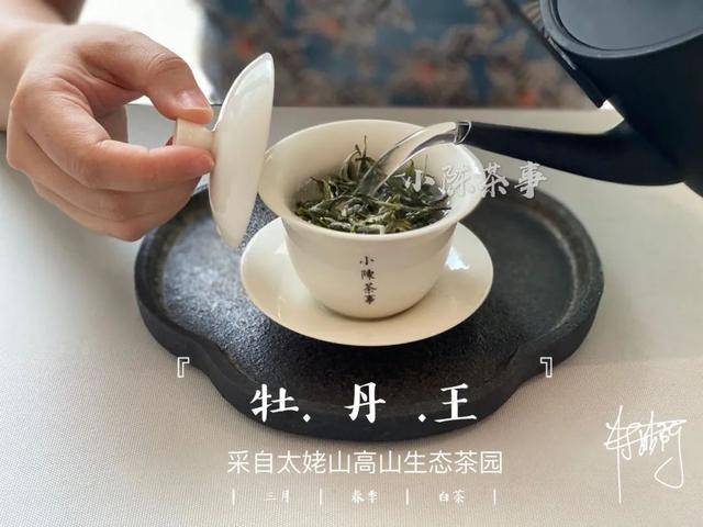 安吉白茶用洗茶吗怎么洗