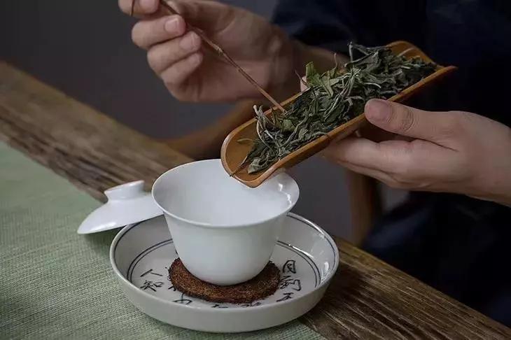 ‘来宾茶’全新推出精品茗茶，品质保证，令人醉享受