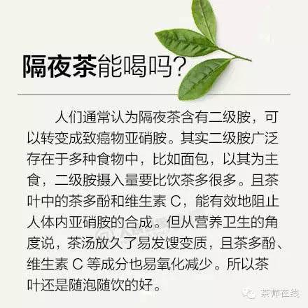 白茶叶泡几次比较好