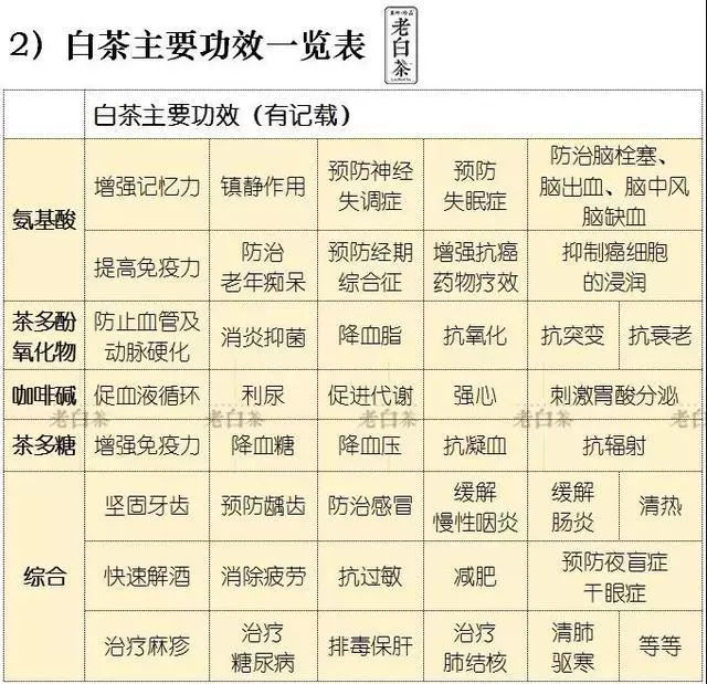 新洲白茶价格及走势查询