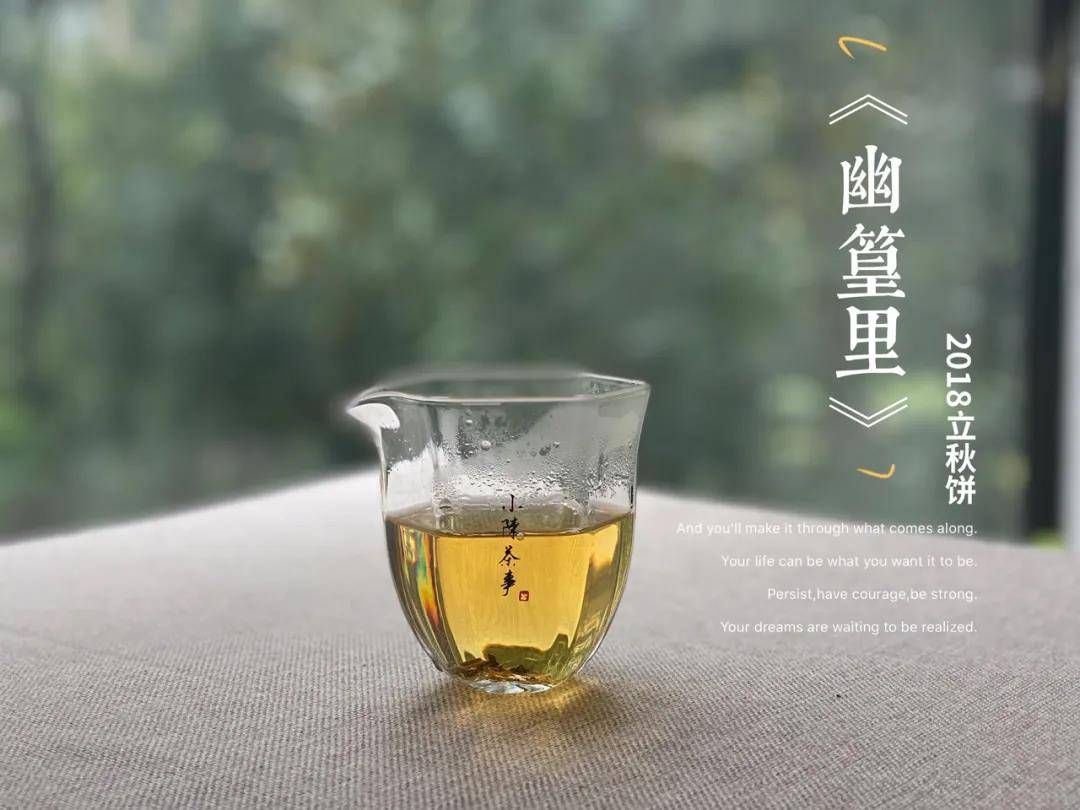 老白茶用什么茶具泡茶