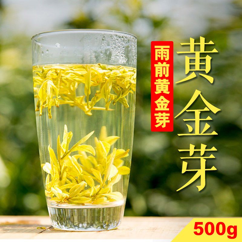 黄金叶茶和安吉白茶那个好