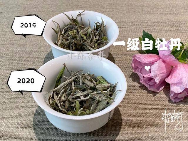 白牡丹茶和陈皮白茶的区别