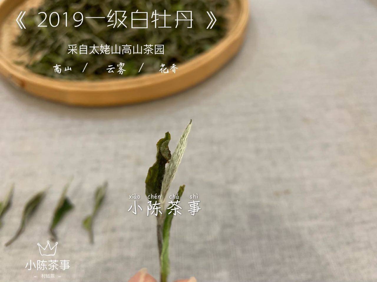 白牡丹白茶200克多少钱