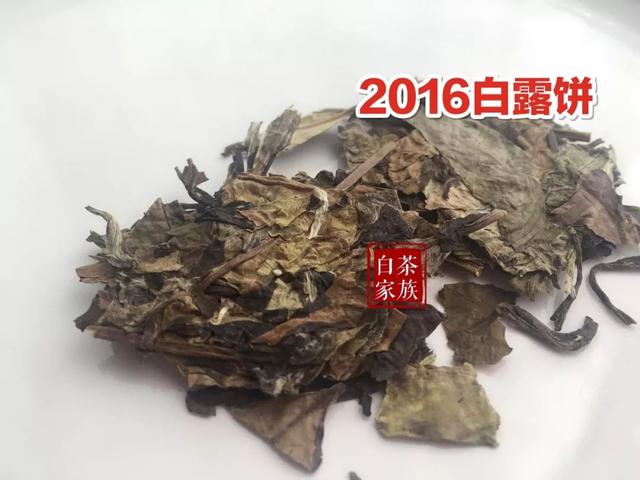 古树茶和老白茶的区别