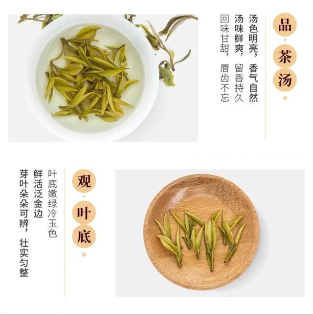 安吉白茶能治好淋巴结吗