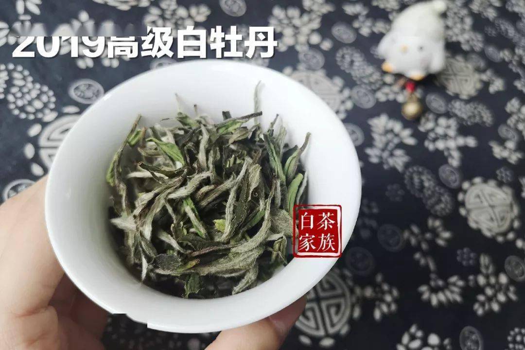 五一节喝白茶有什么好处