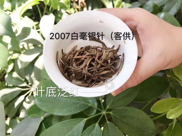 煮完的白茶里有絮状物