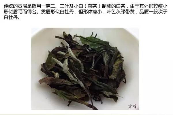 白茶寿眉冬能不能喝