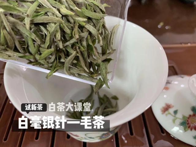 喝白茶没有味道怎么办