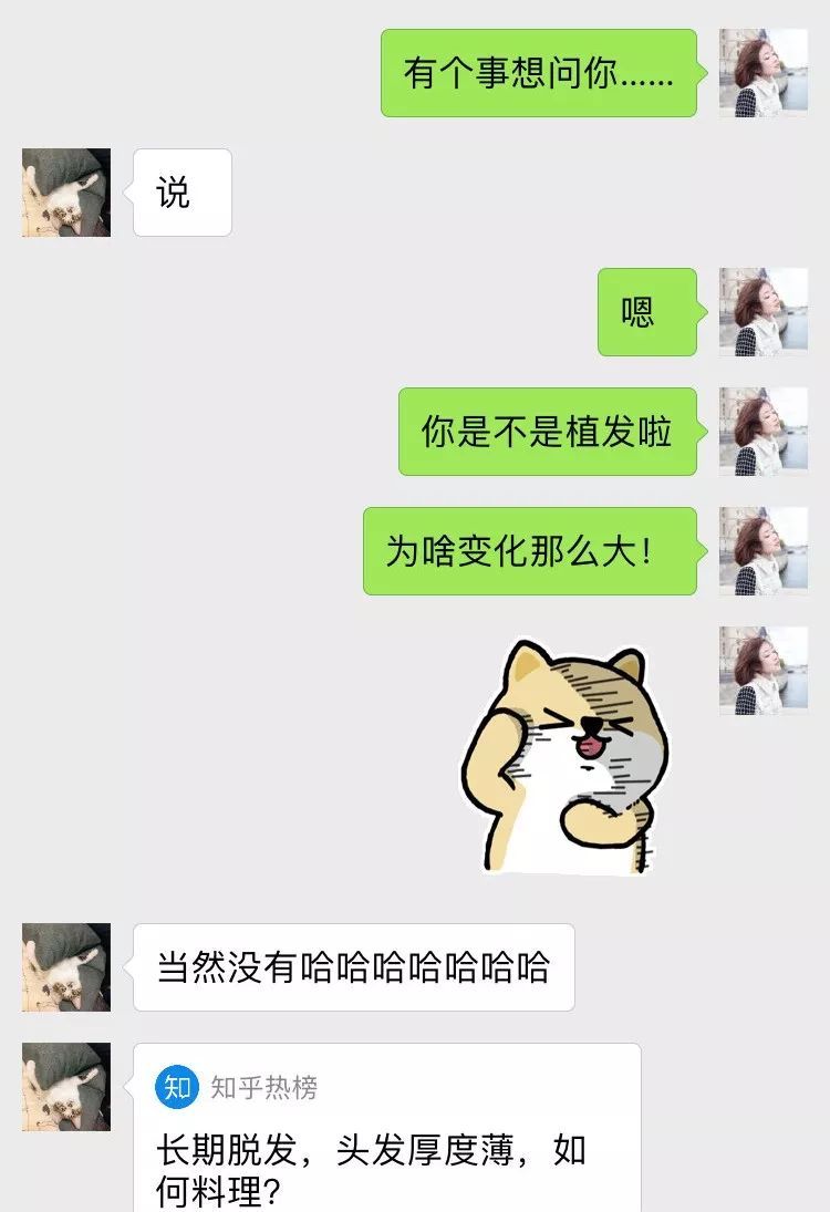 脱发的人适合喝白茶吗知乎推荐