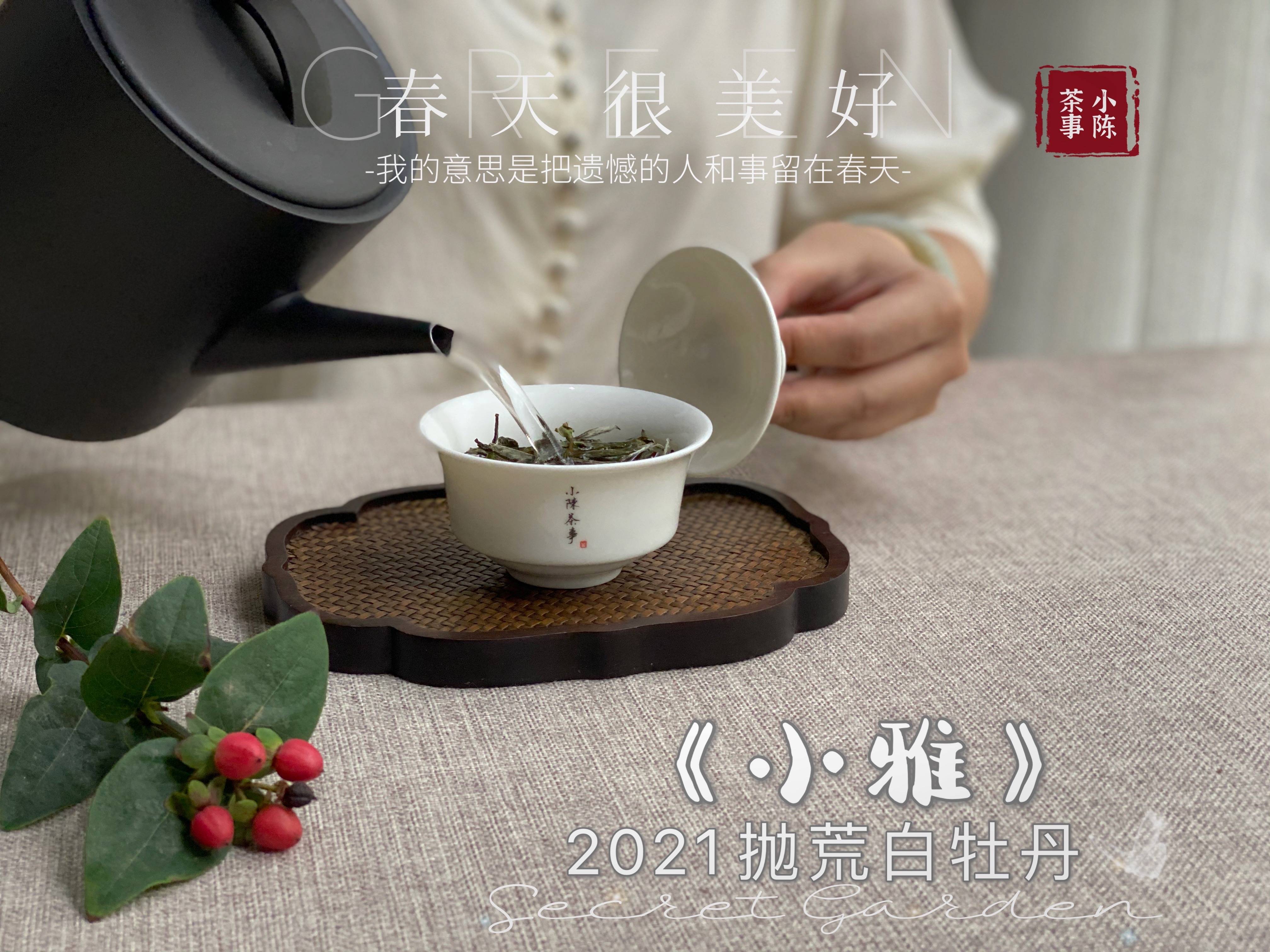 可以用安吉白茶制作茶具吗视频教学