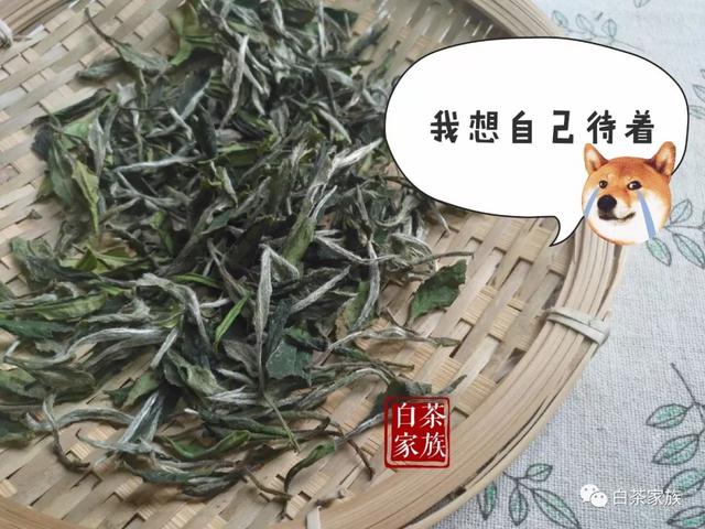 快手上的白茶什么意思啊