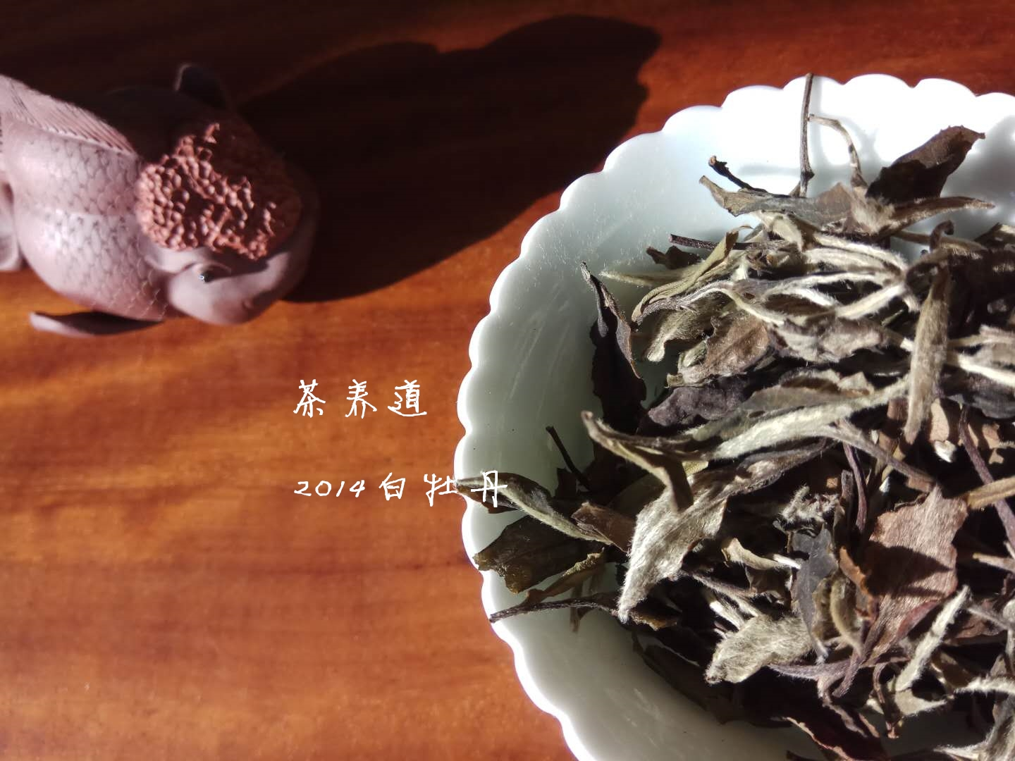 普洱茶是老白茶吗吗