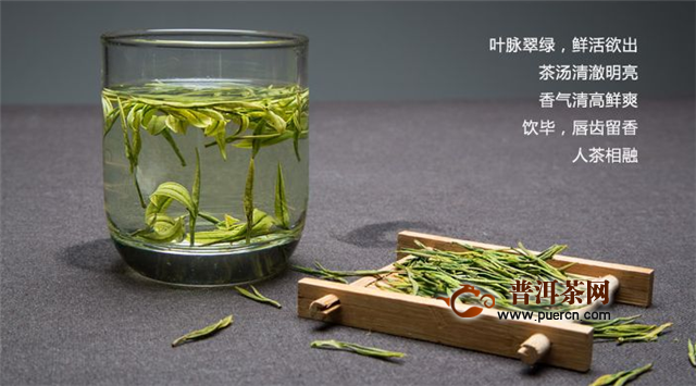 安吉白茶是绿茶还是青茶