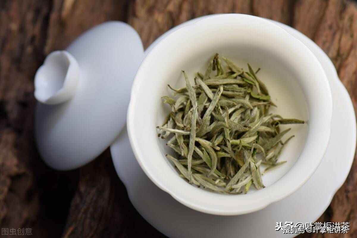 白茶新茶保质期一般多久