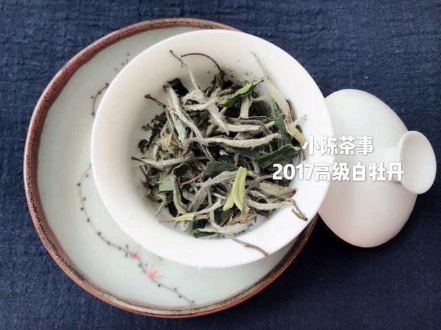 白茶新茶保质期一般多久