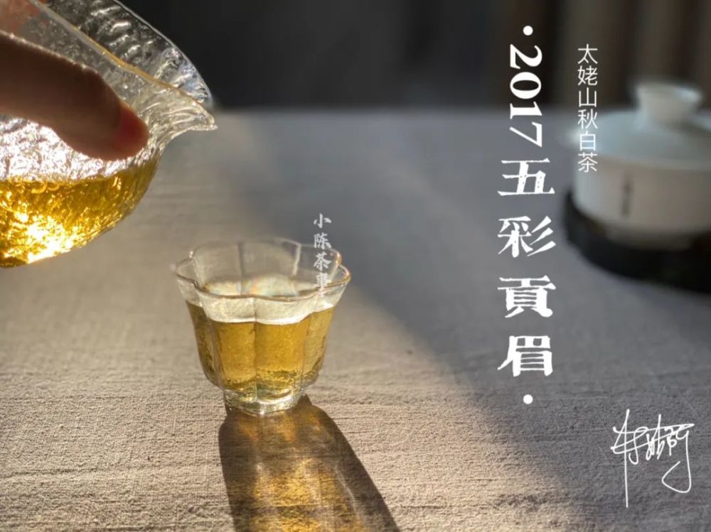 白茶新茶保质期一般多久