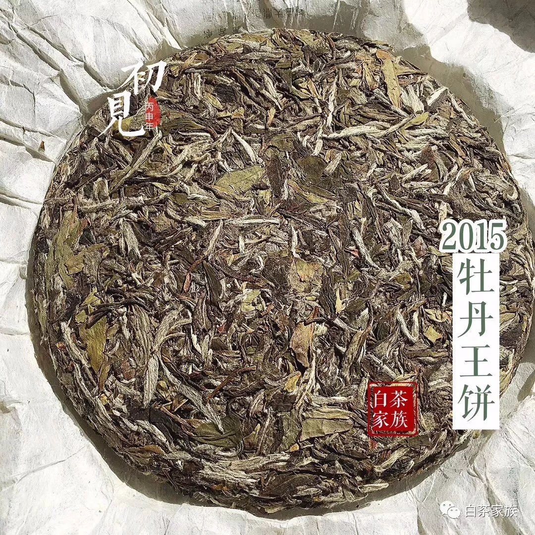 山东品质好的白茶茶叶厂家