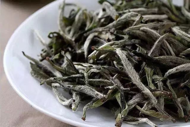 福鼎白茶茶厂