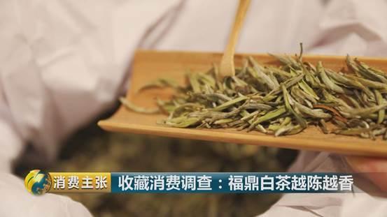 白毫银针福鼎价格及功效