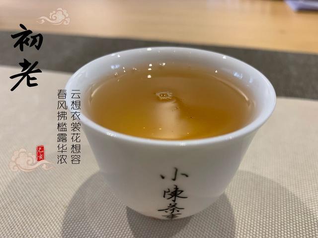 生普洱茶和老白茶的区别：品质、发酵程度和口感