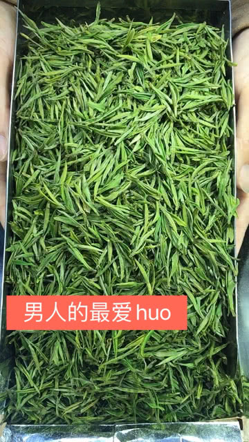 安吉白茶含氨基酸吗为什么