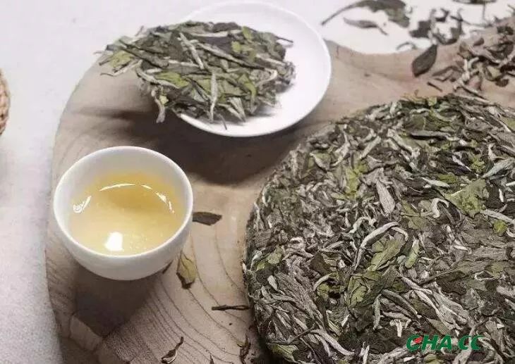 白茶抛荒茶口感及福鼎制作方式