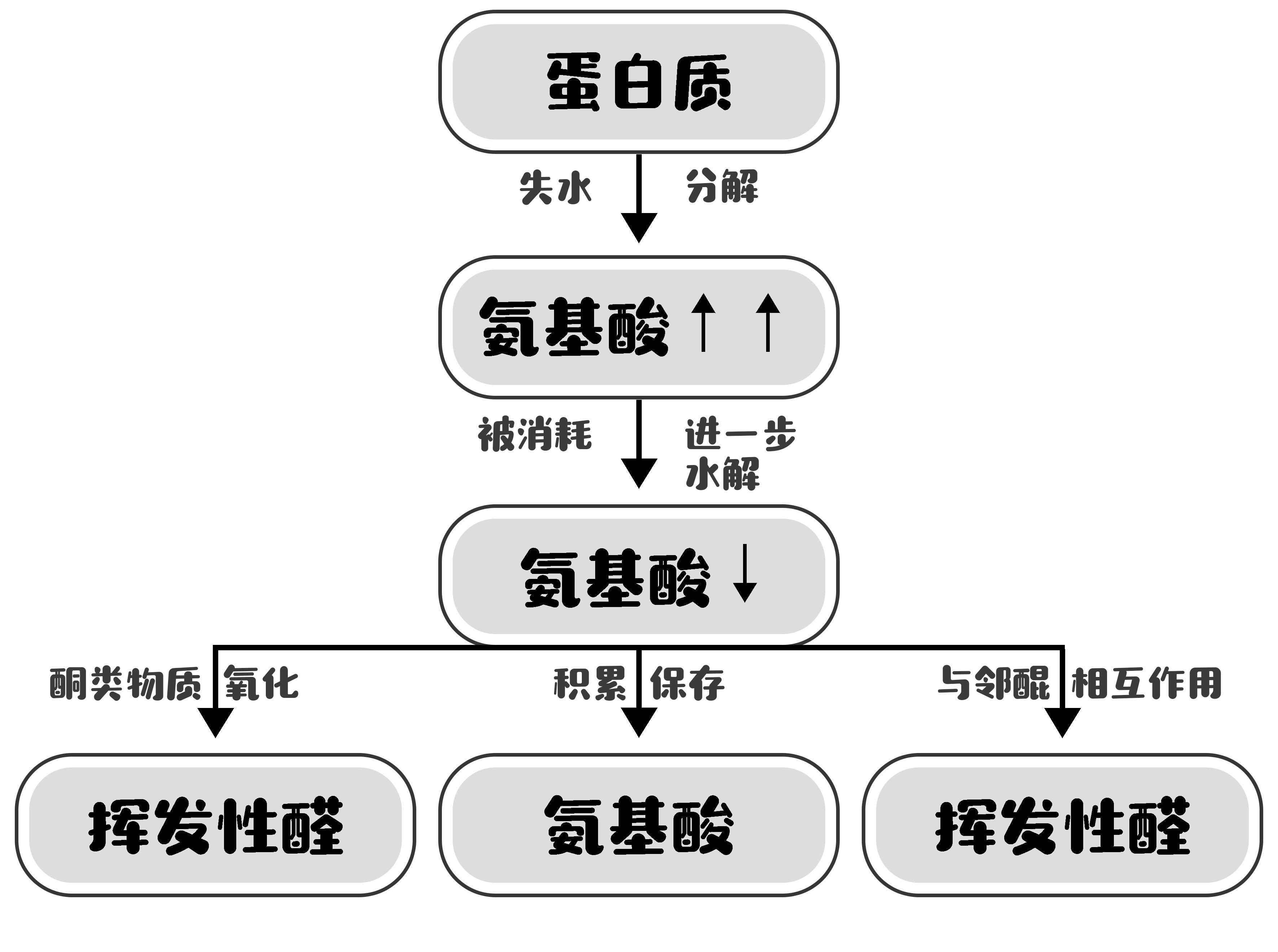 白茶精制加工工艺流程方法