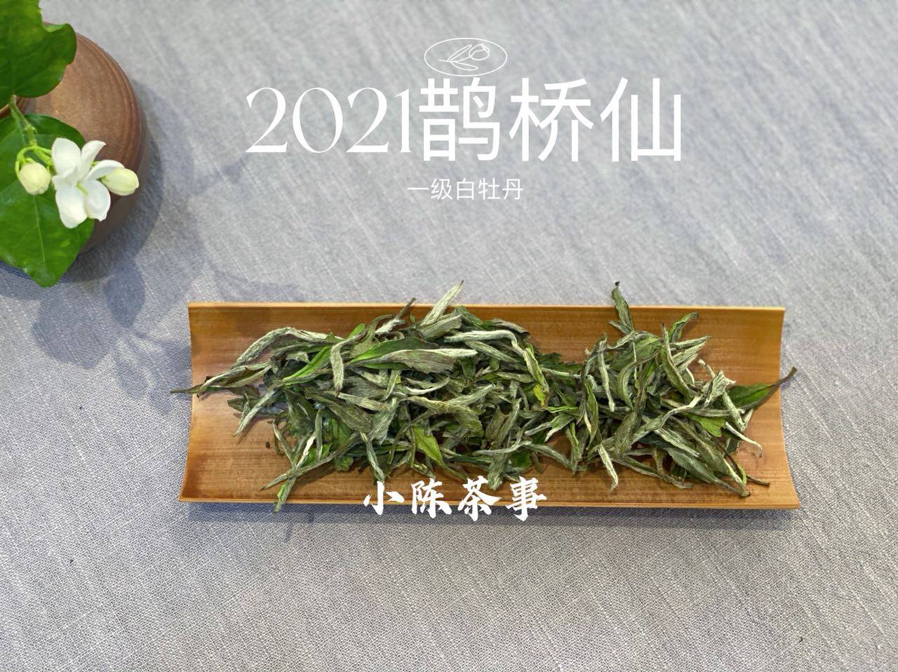 岩茶肉和白茶有什么区别