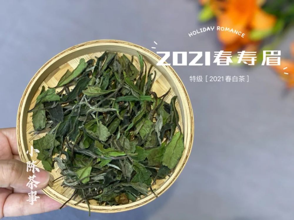 白茶的根长得快吗能吃吗有毒吗，树长什么样子，茶叶可以吃吗