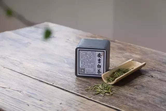 安吉白茶为什么芽头白呢