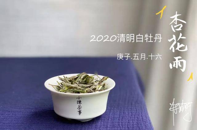 2020白牡丹一级茶多钱一斤