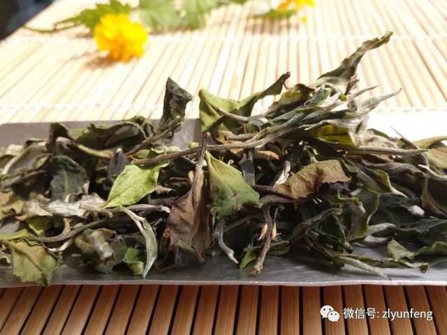 白茶花蕊的功效与作用