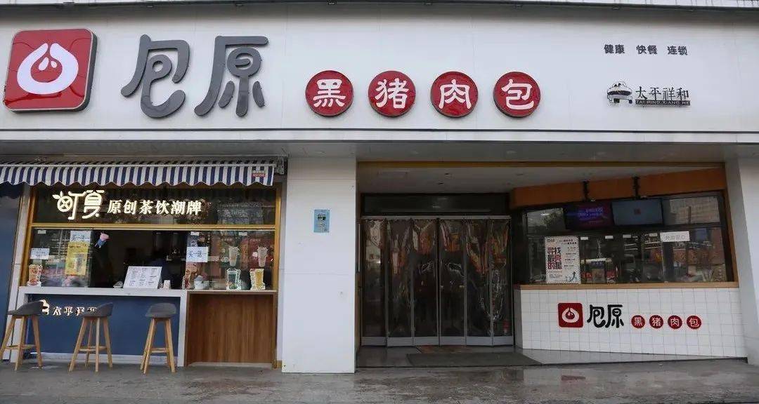 州古树白茶招商加盟店地址查询