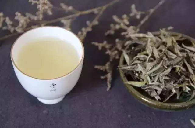 北海福鼎白茶哪家好一点的？北海产什么茶？北海特产茶叶