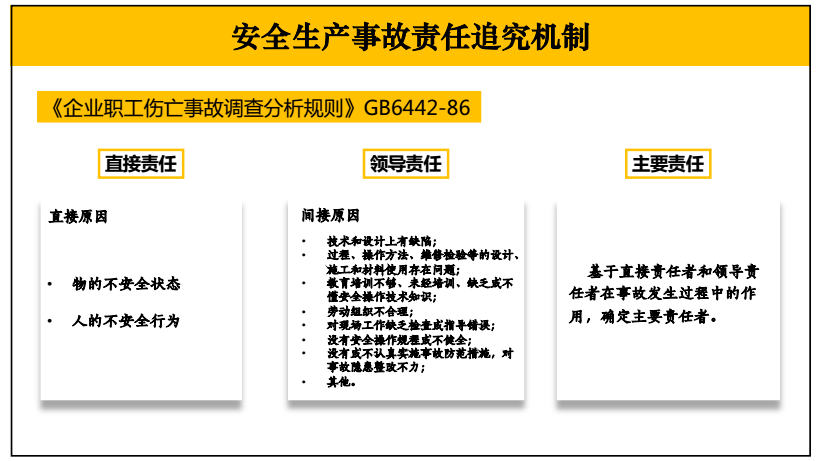 白茶生产工艺培训新闻稿文分享