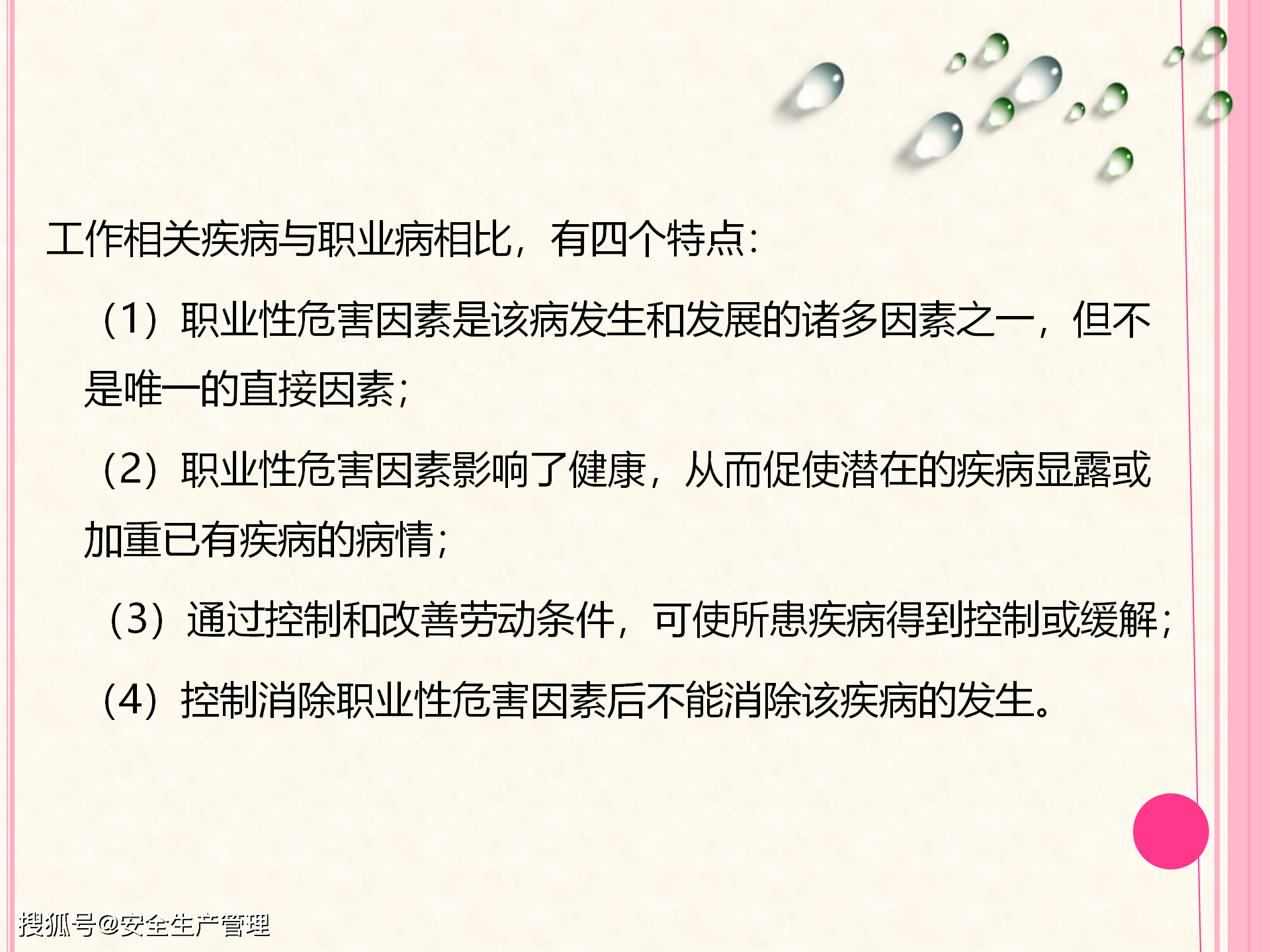 白茶生产工艺培训新闻稿