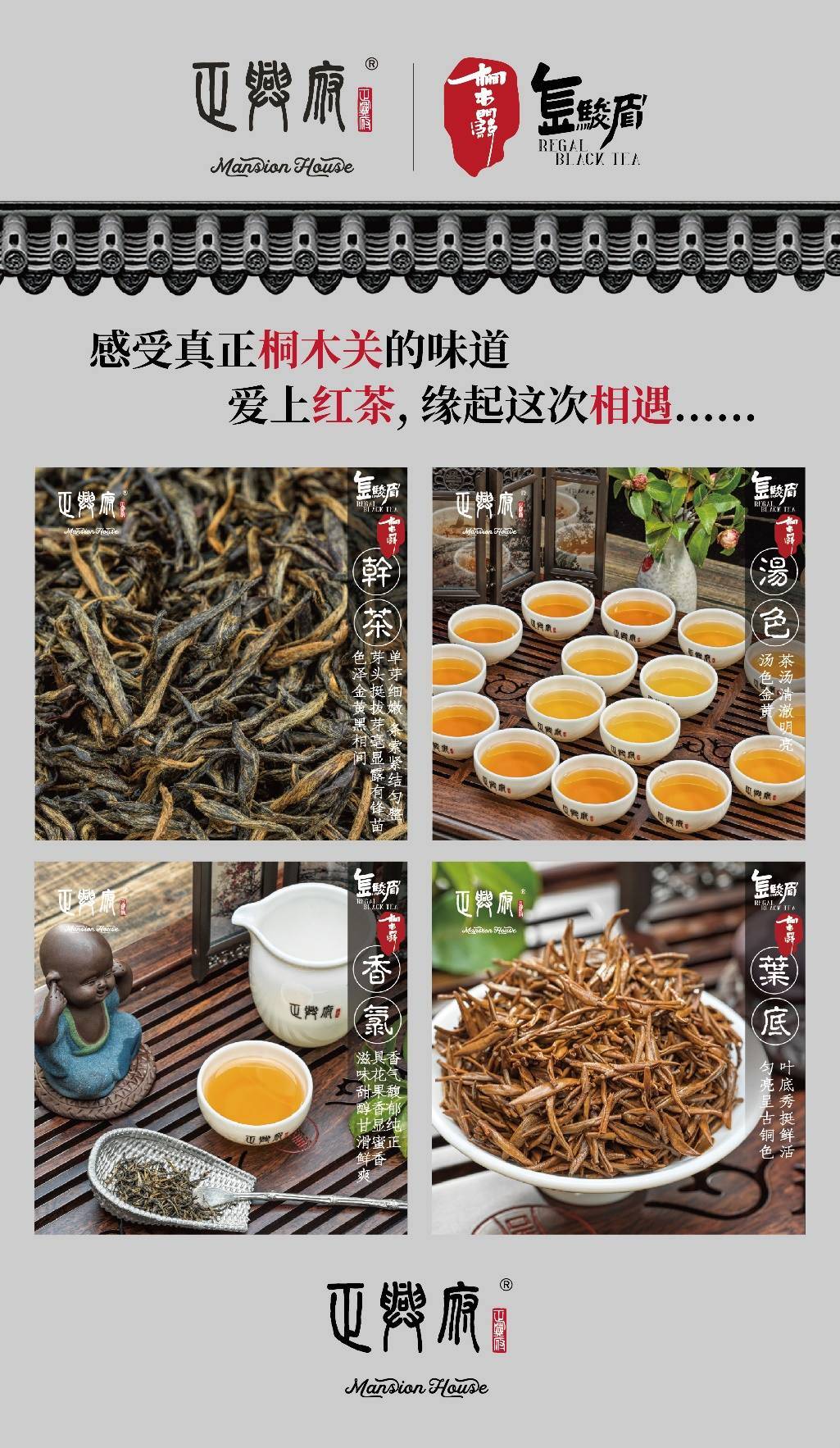 2020年南高端茶叶贴吧