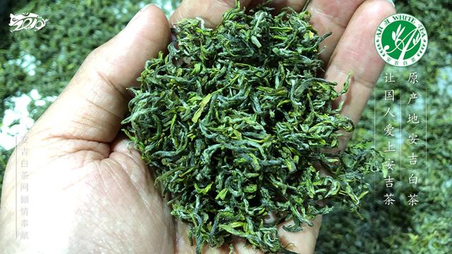 白茶一斤茶叶能出多少干茶?