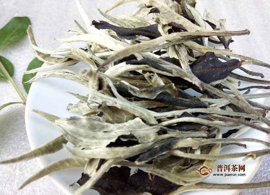 白茶一斤茶叶能出多少干茶?