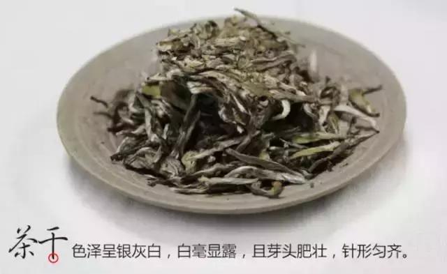 哪家的白牡丹白茶比较好