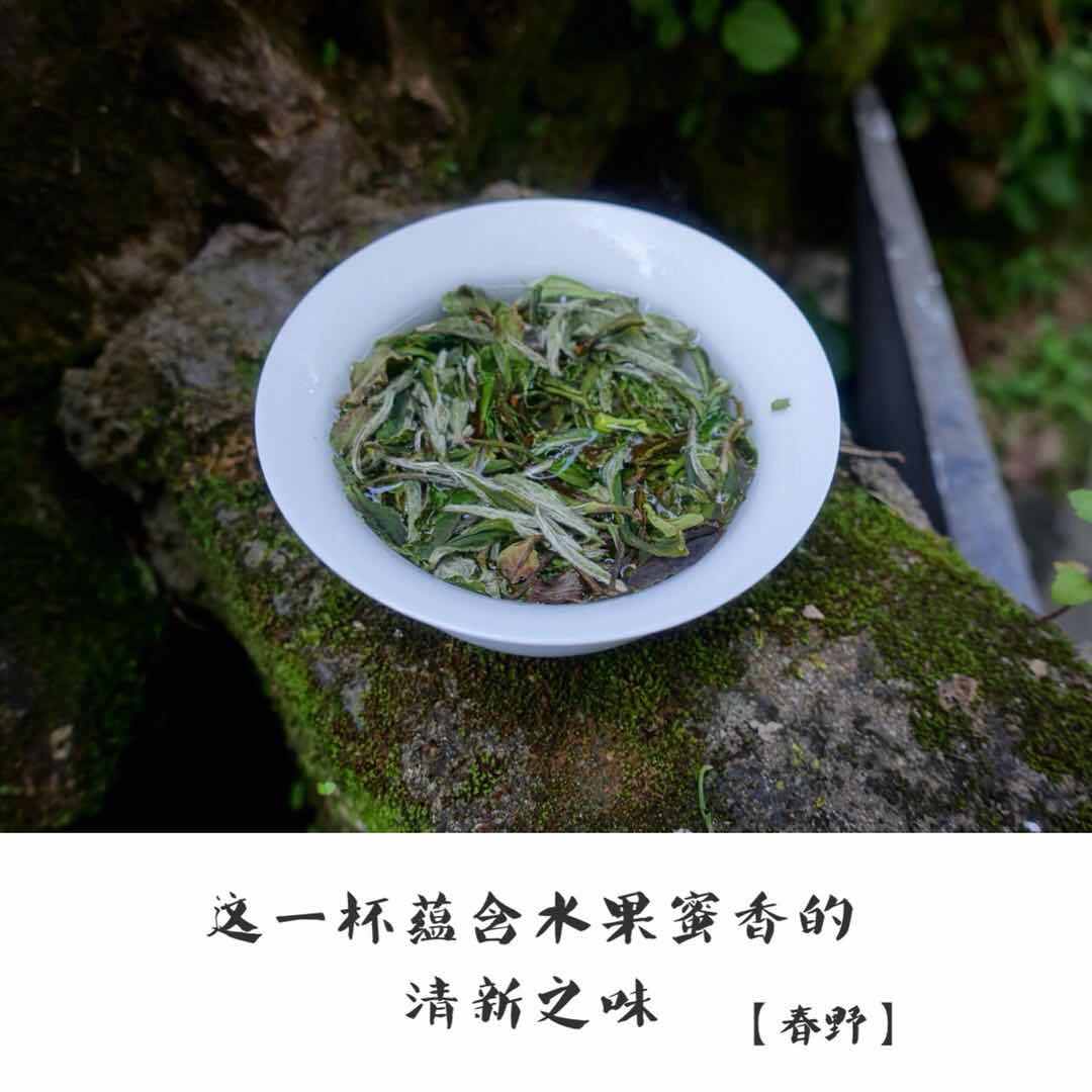 哪家的白牡丹白茶比较好