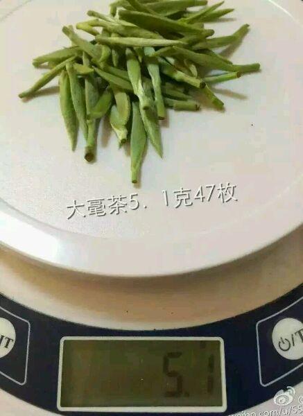 真正的福鼎白茶长什么样子