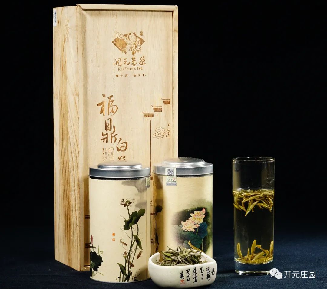 福鼎大白茶是红茶还是绿茶？